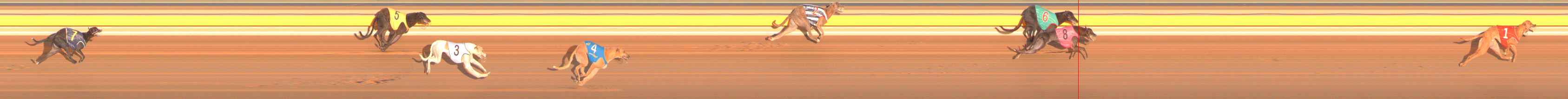 Race result finish photo